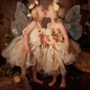 twin fairies enchanted forest