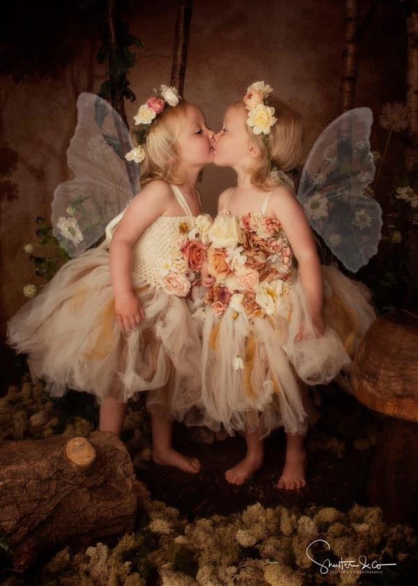 twin fairies enchanted forest