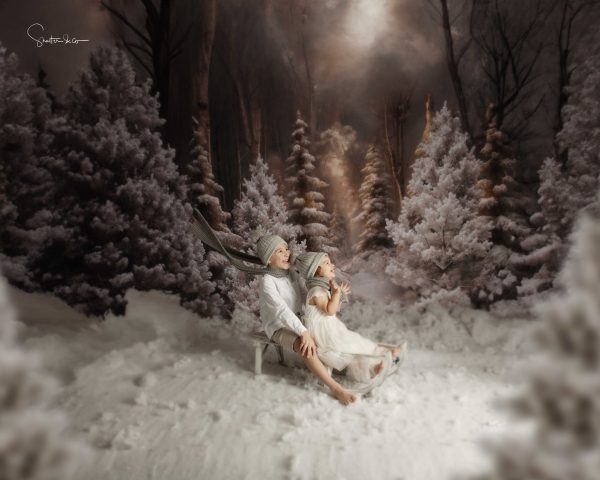 Narnia - Christmas Advanced Booking - Image 20