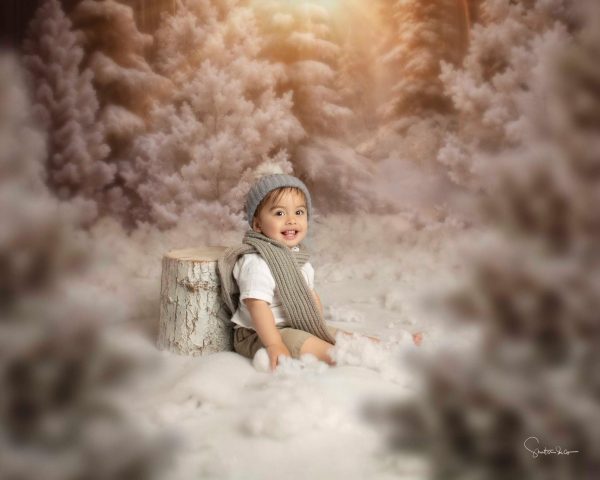 Narnia - Christmas Advanced Booking - Image 5