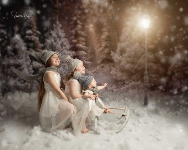 Narnia - Christmas Advanced Booking - Image 21