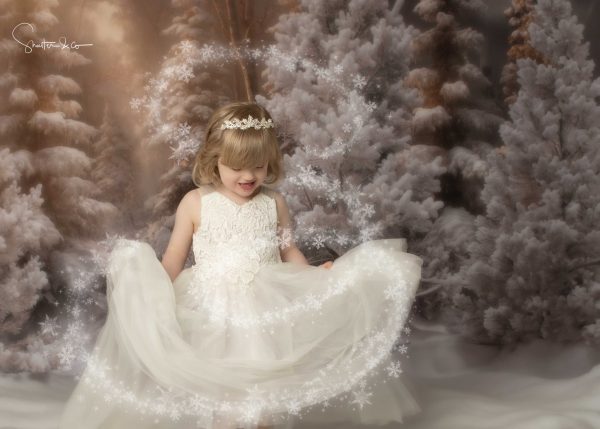 Narnia - Christmas Advanced Booking - Image 6
