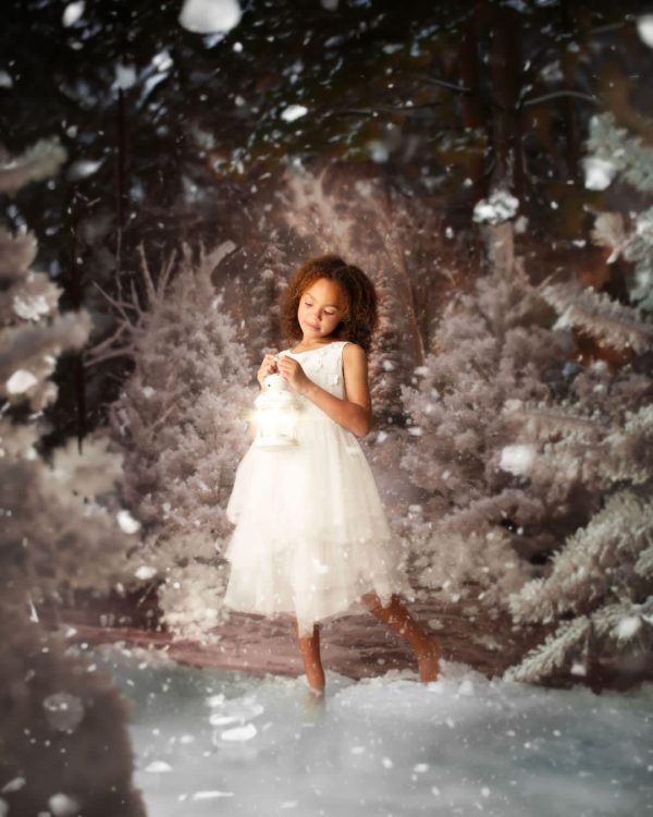 Narnia - Christmas Advanced Booking - Image 23