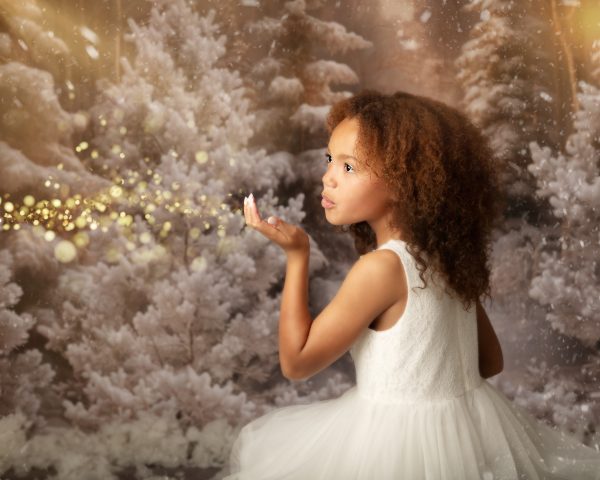 Narnia - Christmas Advanced Booking - Image 19