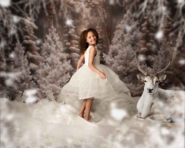 Narnia - Christmas Advanced Booking - Image 8