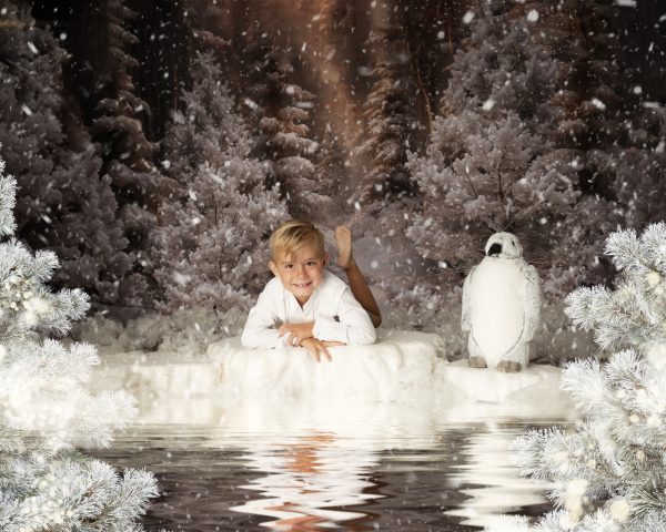 Narnia - Christmas Advanced Booking - Image 18