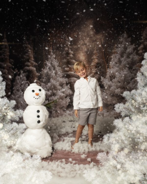 Narnia - Christmas Advanced Booking - Image 16