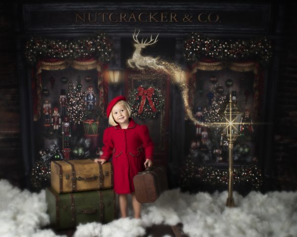 The Toy Store Advanced Booking - Image 2