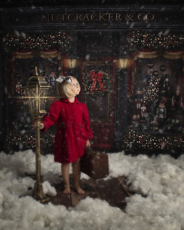 The Toy Store Advanced Booking - Image 19
