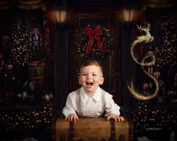 The Toy Store Advanced Booking - Image 3